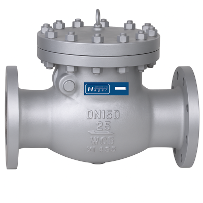 ANSI Check-Valve